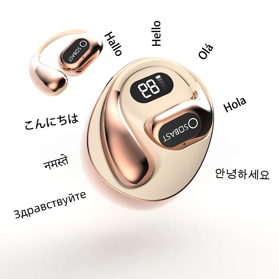 2025New AI Translator Earbuds Real-Time 2-Way 144+ Languages, Bluetooth headset 5.4, for Travel/Business/Learning , iOS/Android