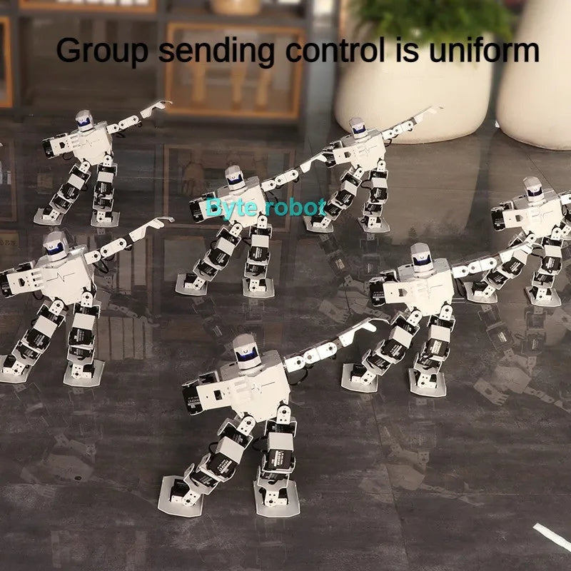 16 DOF Humanoid Robot Assembled RoboSoul H5S Programmable Robot Kit Education Walking Singing Dancing Robot Entertainment Robot